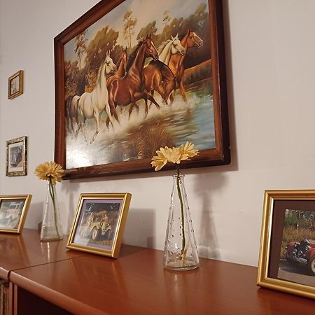 Willa Letnisko nad Gopłem Skulsk Zewnętrze zdjęcie